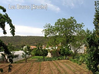 Los Bravos (Aroche) 