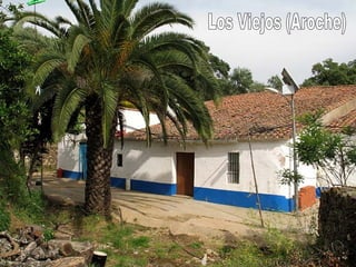 Los Viejos (Aroche) 