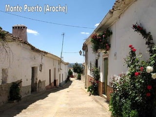 Monte Puerto (Aroche) 