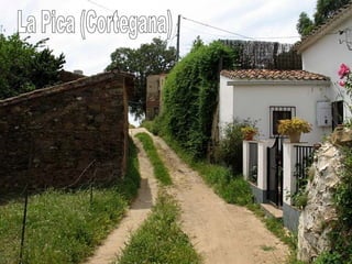 La Pica (Cortegana) 