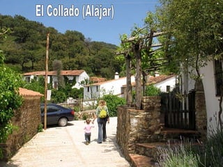 El Collado (Alájar) 