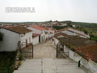 ENCINASOLA 