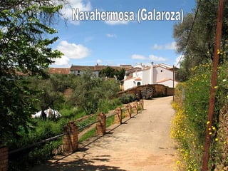 Navahermosa (Galaroza) 