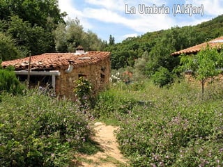 La Umbría (Alájar) 