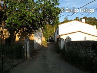 El Quejigo (Jabugo) 