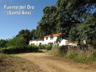 Fuente del Oro (Santa Ana) 
