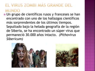  Un grupo de científicos rusos y franceses se han
encontrado con uno de los hallazgos científicos
más sorprendentes de los últimos tiempos.
Sepultado bajo la helada geografía de la región
de Siberia, se ha encontrado un súper virus que
permaneció 30.000 años intacto. (Pithovirus
Sibericum)
 