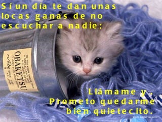 Llámame y .  Prometo quedarme bien quietecito.  Sí un día te dan unas locas ganas de no escuchar a nadie;  www.tonterias.com 