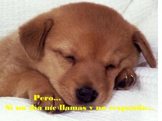 Pero...
Si un día me llamas y no respondo...