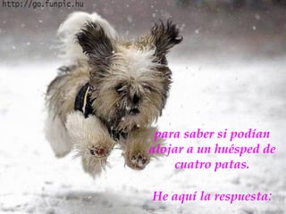 para saber si podían alojar a un huésped de cuatro patas. He aquí la respuesta : 