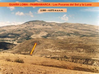 GUAÑA LOMA - PAMBAMARCA : Los Pucaras del Sol y la Luna

                    2.500 – 4.075 m.s.n.m.
 