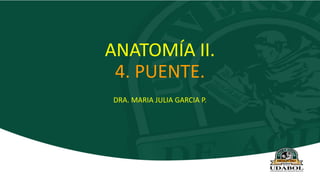 ANATOMÍA II.
4. PUENTE.
DRA. MARIA JULIA GARCIA P.
 