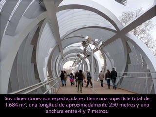 Sus dimensiones son espectaculares: tiene una superficie total de 1.684 m², una longitud de aproximadamente 250 metros y una anchura entre 4 y 7 metros. 