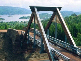 Puentes peatonales 1