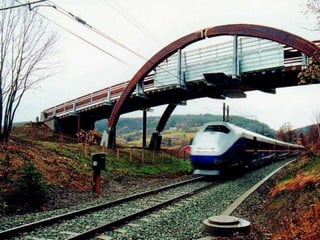 Puentes peatonales 1