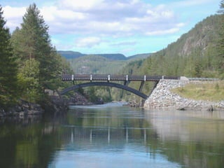 Puentes peatonales 1