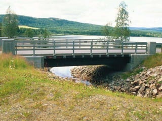 Puentes peatonales 1