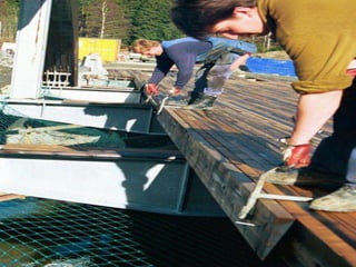 Puentes peatonales 1