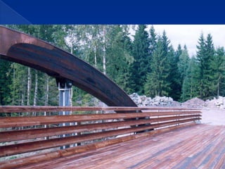 Puentes peatonales 1