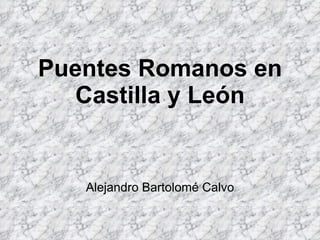 Puentes Romanos en Castilla y León Alejandro Bartolomé Calvo 