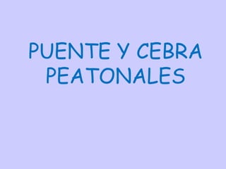 PUENTE Y CEBRA PEATONALES 
