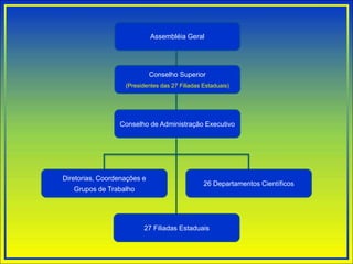 Conselho de Administração Executivo
Conselho Superior
(Presidentes das 27 Filiadas Estaduais)
Assembléia Geral
Diretorias, Coordenações e
Grupos de Trabalho
26 Departamentos Científicos
27 Filiadas Estaduais
 