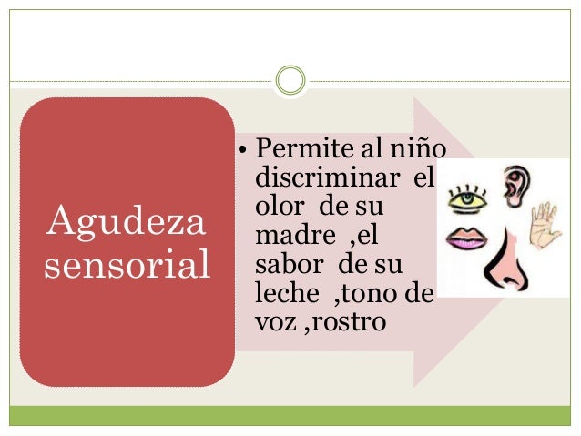 La culturista con un pequeño pecho