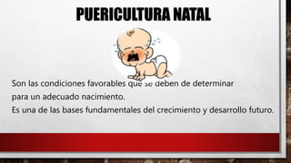 PUERICULTURA NATAL
Son las condiciones favorables que se deben de determinar
para un adecuado nacimiento.
Es una de las bases fundamentales del crecimiento y desarrollo futuro.
 