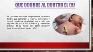 Se convierte en un ser independiente, indefenso
tendrá que comenzar a respirar, alimentarse y
cumplir funciones metabólicas por si solo, que
requiere de todos los cuidados y atenciones
externas de su madre para poder sobrevivir
durante sus primeros meses y años.
 