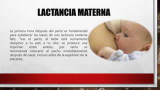 LACTANCIA MATERNA
La primera hora después del parto es fundamental
para establecer las bases de una lactancia materna
feliz. Tras el parto, el bebé está sumamente
receptivo a tu piel, a tu olor, se produce una
importan entre ambos, por tanto se
recomienda colocarlo al pecho inmediatamente
después de nacer, incluso antes de la expulsión de la
placenta.
 