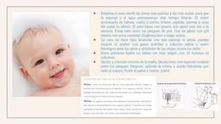 ● Empieza el aseo desde las zonas más pulcras a las más sucias, para que
la esponja y el agua permanezcan más tiempo limpias. El orden
aconsejado es cabeza, cuello y pecho, brazos, espalda, piernas y zona
del pañal lo último. El pelo basta con lavarlo con jabón una vez a la
semana. Frota bien entre los pliegues de piel. Usa un jabón con pH
neutro, con poca cantidad. Enjabona bien y luego aclara.
● La cara no hace falta lavársela con una esponja ni jabón, puedes
hacerlo al acabar con gasas estériles y solución salina o suero
fisiológico para los ojitos y alrededor de las orejas, nunca los oídos.
● Estos primeros baños no deben ser muy largos, con 10 minutos es
suficiente.
● Sácalo y colócalo encima de la toalla. Sécalo bien, con especial cuidado
entre los pliegues. Después, aplícale la crema o aceite hidratante por
todo el cuerpo. Ponle el pañal y vístelo. ¡Listo!
 