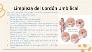 Limpieza del Cordón Umbilical
Para la cura del cordón, que se debe hacer a diario, normalmente en el
baño, debes seguir los siguientes pasos:
• Lavarse bien las manos.
• Limpiar la zona del cordón con agua y jabón.
• Secarlo dando ligeros toquecitos, sin frotar.
• Colocar una gasa limpia alrededor para ayudar a que se seque. Esta
gasa se debe cambiar en cada cambio de pañal o antes si se moja
con la orina o las heces.
• El cordón solo se debe mojar una vez al día, el resto del tiempo
debe permanecer seco.
• Mantén el cordón fuera del pañal y en contacto con el aire para
facilitar la cicatrización. Si fuera necesario, dobla la parte superior
del pañal hacia abajo.
• Si tu médico te lo indica, puedes aplicar tras el baño un poco de
alcohol del 70º o clorhexidina.
● Lo habitual es que el cordón se desprenda entre los 7 y los 15 días
de vida.
 