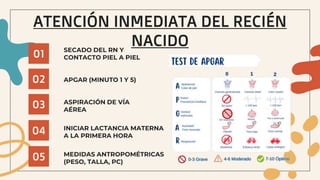 SECADO DEL RN Y
CONTACTO PIEL A PIEL
01
ATENCIÓN INMEDIATA DEL RECIÉN
NACIDO
APGAR (MINUTO 1 Y 5)
02
ASPIRACIÓN DE VÍA
AÉREA
03
INICIAR LACTANCIA MATERNA
A LA PRIMERA HORA
04
MEDIDAS ANTROPOMÉTRICAS
(PESO, TALLA, PC)
05
 