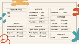 NECIEN NACIDO
BCG
VHB
2 MESES
Pentavalente (1°dosis)
Poliomielitis (1°dosis)
Rotavirus (1°dosis)
Neumococo (1°dosis)
4 MESES
Pentavalente (2°dosis)
Poliomielitis (2°dosis)
Rotavirus (2°dosis)
Neumococo (2°dosis)
6 MESES
Pentavalente (3°dosis)
Antipolio Oral (3°dosis)
Influenza (1°dosis)
7 MESES
Influenza (2°dosis)
12 MESES
SPR (1°dosis)
Varicela (1°dosis)
Neumococo (3°dosis)
Influenza (3°dosis)
15 MESES
AMA (2°dosis)
 