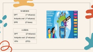 18 MESES
DPT (1°refuerzo)
Antipolio oral (1°refuerzo)
SPR (2°dosis)
4 AÑOS
DPT (2°refuerzo)
Antipolio oral (2°refuerzo)
VPH (5TO)
 