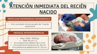 • Con una dosis intramuscular de 1 mg de
vitamina K
ATENCIÓN INMEDIATA DEL RECIÉN
NACIDO
PROFILAXIS ENFERMEDAD HEMORRÁGICA
• Peso: 3000 –3500 gr.
• Talla: 50 cm ± 2
• Circunferencia cefálica: 35 ± 2 cm.
• Circunferencia torácica: 32 –33 cm.
• Circunferencia abdominal: 31 –32 cm..
MEDIDAS ANTROPOMÉTRICAS
 
