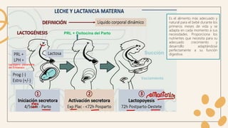 Es el alimento más adecuado y
natural para el bebé durante los
primeros meses de vida y se
adapta en cada momento a sus
necesidades. Proporciona los
nutrientes que necesita para su
adecuado crecimiento y
desarrollo adaptándose
perfectamente a su función
digestiva.
Lactógeno placentaria
del Embarazo
Succión
Vaciamiento
PRL + Oxitocina del Parto
 