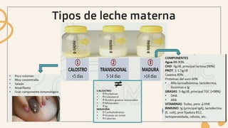 Tipos de leche materna
 