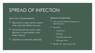 Septic Abscess Clinical Presentation, Risk Factors, and Complications of Puerperal ...