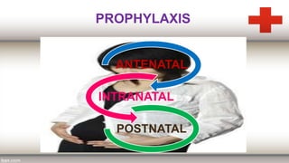PROPHYLAXIS
ANTENATAL
INTRANATAL
POSTNATAL
 