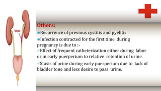 Others:
⚫Recurrence of previous cystitis and pyelitis
⚫Infection contracted for the first time during
pregnancy is due to :-
Effect of frequent catheterization either during labor
or in early puerperium to relative retention of urine.
Stasis of urine during early puerperium due to lack of
bladder tone and less desire to pass urine.
 