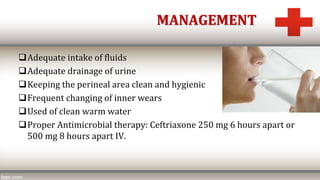 MANAGEMENT
Adequate intake of fluids
Adequate drainage of urine
Keeping the perineal area clean and hygienic
Frequent changing of inner wears
Used of clean warm water
Proper Antimicrobial therapy: Ceftriaxone 250 mg 6 hours apart or
500 mg 8 hours apart IV.
 