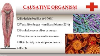 CAUSATIVE ORGANISM
Doderlein bacillus (60-70%)
Yeast like fungus –candida albicans (25%)
Staphylococcus albus or aureus
Streptococcus –anerobic common
Beta hemolyticus streptococcus rare
E.coli
 