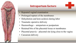 • Repeated vaginal examination
• Prolonged rupture of the membranes
• Dehydration and keto-acidosis during labor
• Traumatic operative delivery
• Haemorrhage - antepartum or postpartum
• Retained bits of the placental tissue or membranes
• Placental praevia – placental site lying close to the vagina
• Caesarean delivery
Intrapartum factors
 