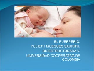 EL PUERPERIO. YULIETH MUEGUES SAURITH. BIOESTRUCTURADA V. UNIVERSIDAD COOPERATIVA DE COLOMBIA 
