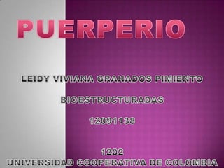 PUERPERIO LEIDY VIVIANA GRANADOS PIMIENTO BIOESTRUCTURADAS 12091138 1202 UNIVERSIDAD COOPERATIVA DE COLOMBIA 
