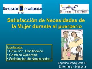 Satisfacción de Necesidades de
 la Mujer durante el puerperio


Contenido:
• Definición, Clasificación.
• Cambios Generales.
• Satisfacción de Necesidades.
                                 Angélica Mosqueda D.
                                  Enfermera - Matrona
 