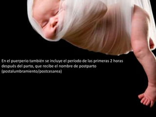 En el puerperio también se incluye el período de las primeras 2 horas
después del parto, que recibe el nombre de postparto
(postalumbramiento/postcesarea)
 