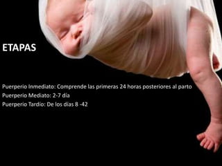 ETAPAS
Puerperio Inmediato: Comprende las primeras 24 horas posteriores al parto
Puerperio Mediato: 2-7 día
Puerperio Tardío: De los días 8 -42