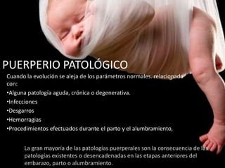 PUERPERIO PATOLÓGICO
Cuando la evolución se aleja de los parámetros normales. relacionada
con:
•Alguna patología aguda, crónica o degenerativa.
•Infecciones
•Desgarros
•Hemorragias
•Procedimientos efectuados durante el parto y el alumbramiento,
La gran mayoría de las patologías puerperales son la consecuencia de las
patologías existentes o desencadenadas en las etapas anteriores del
embarazo, parto o alumbramiento.
 